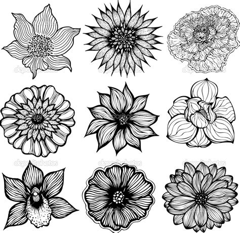 different type of flowers drawing